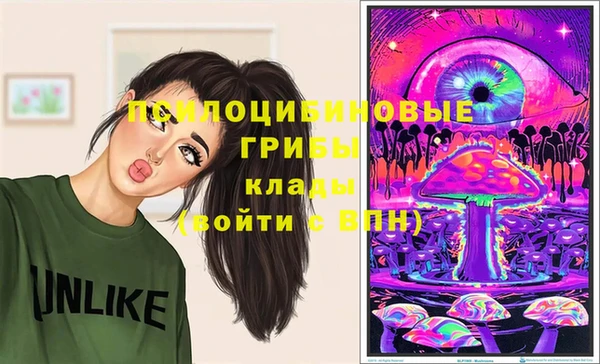 круглые Семёнов