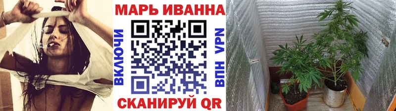 Шишки марихуана план Яхрома